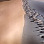 <i>Dune</i>, de Frank Herbert
