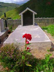 Cementerio y flores rojas